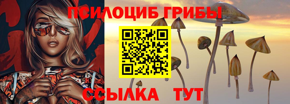 Псилоцибиновые грибы Magic Shrooms  Вход с VPN  Выкса  купить закладку  Галлюциногенные грибы мухоморы 